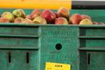 Dolavs handle juice fruit for 25 years