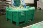 Classic Dolavs for Meat Processing